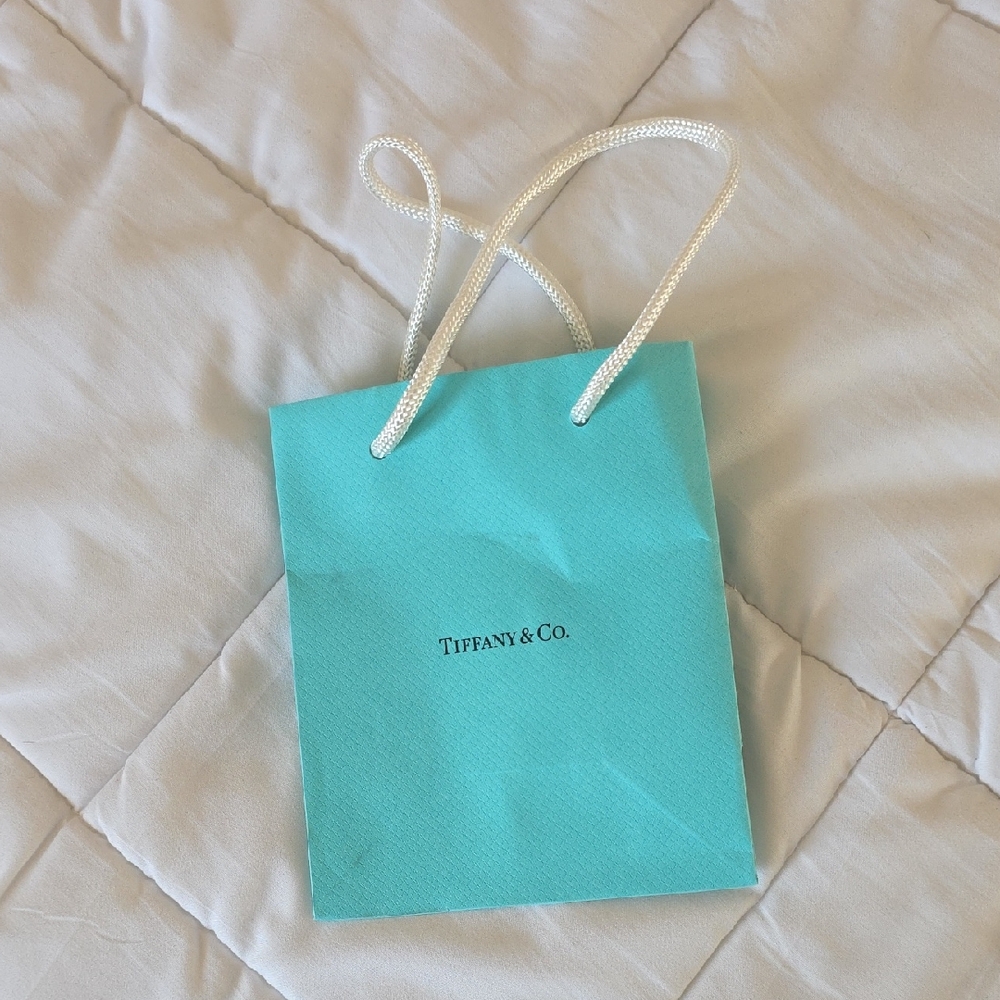 💚5/$20💚 Tiffany & Co. Turquoise Bag with White Handles